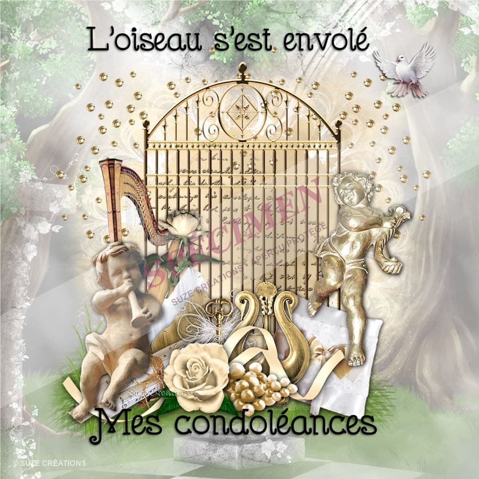 L'oiseau s'est envolé