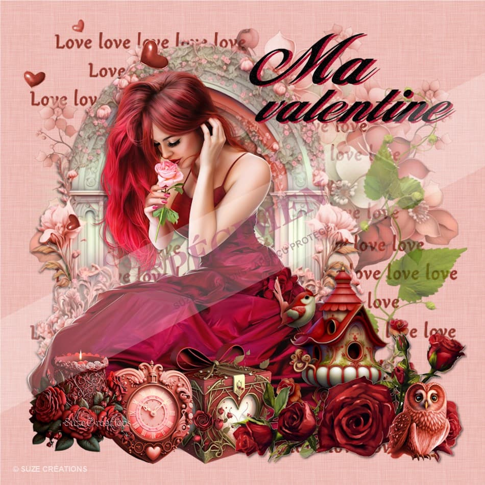 Ma valentine — Roses