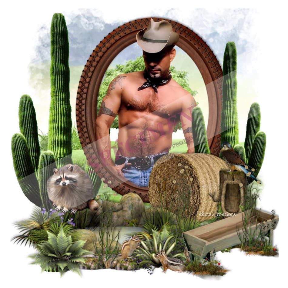Cowboy du désert